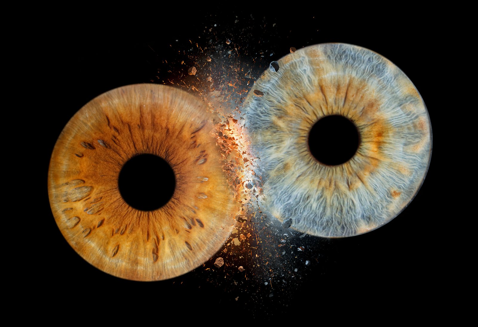 Family print, two eyes — collision effect, offset