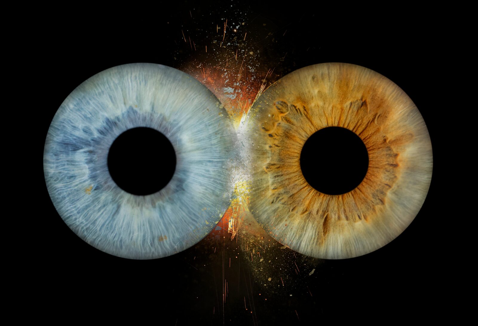 iris