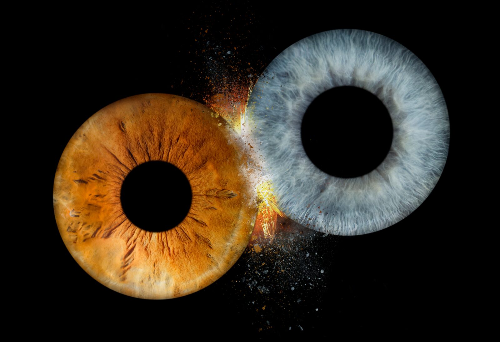 iris