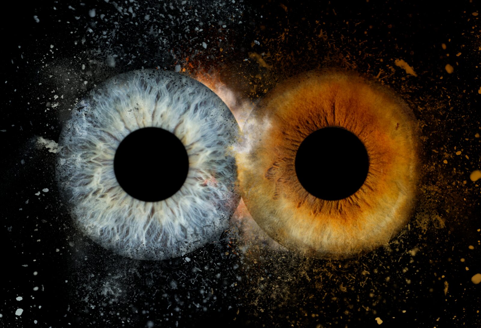 iris