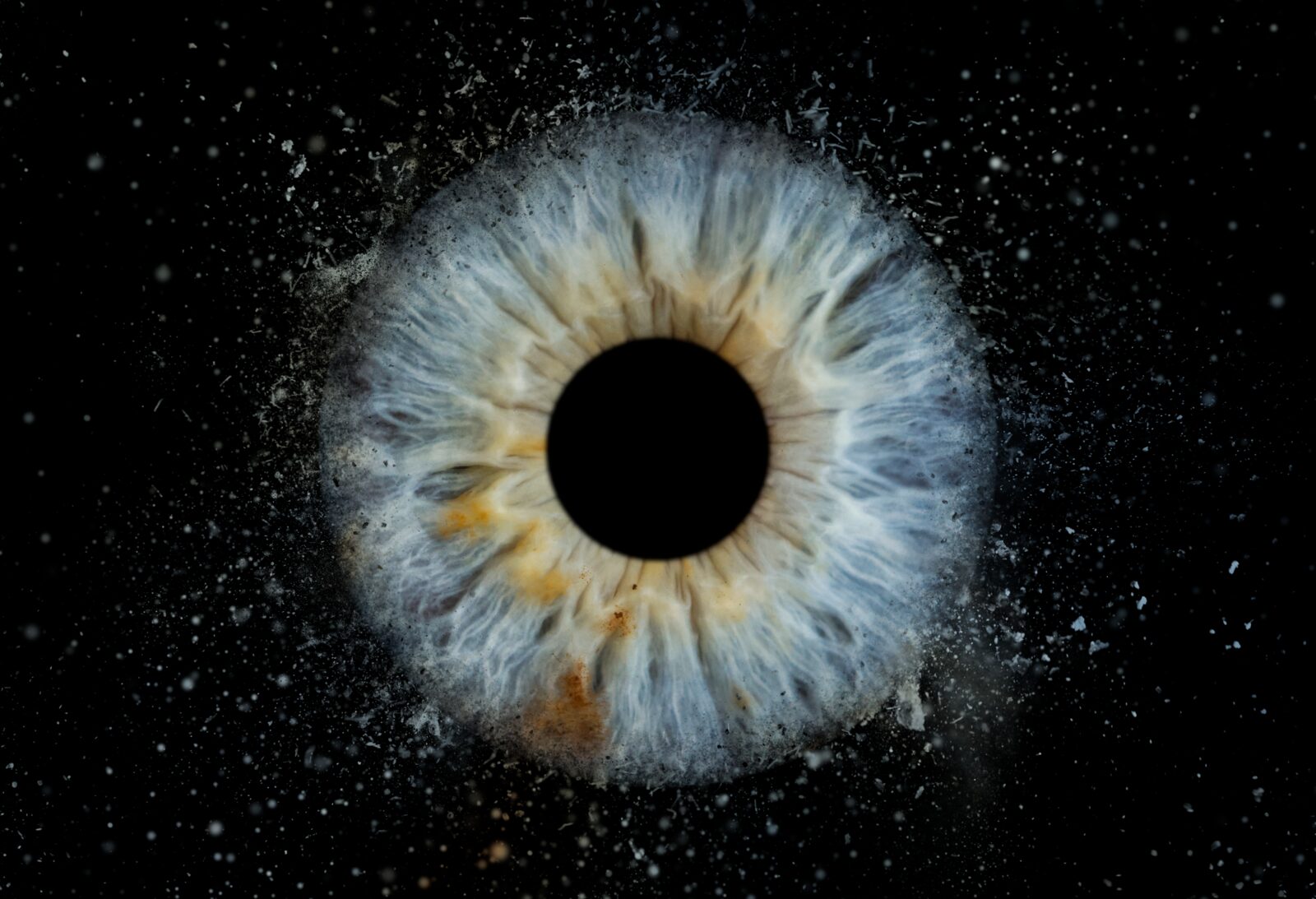 iris