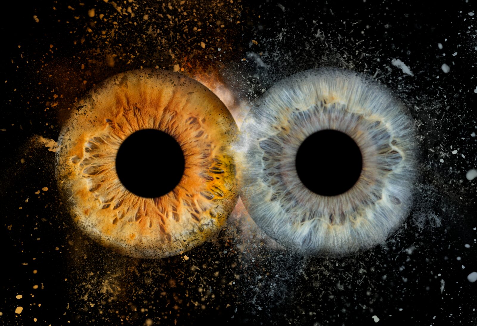 iris