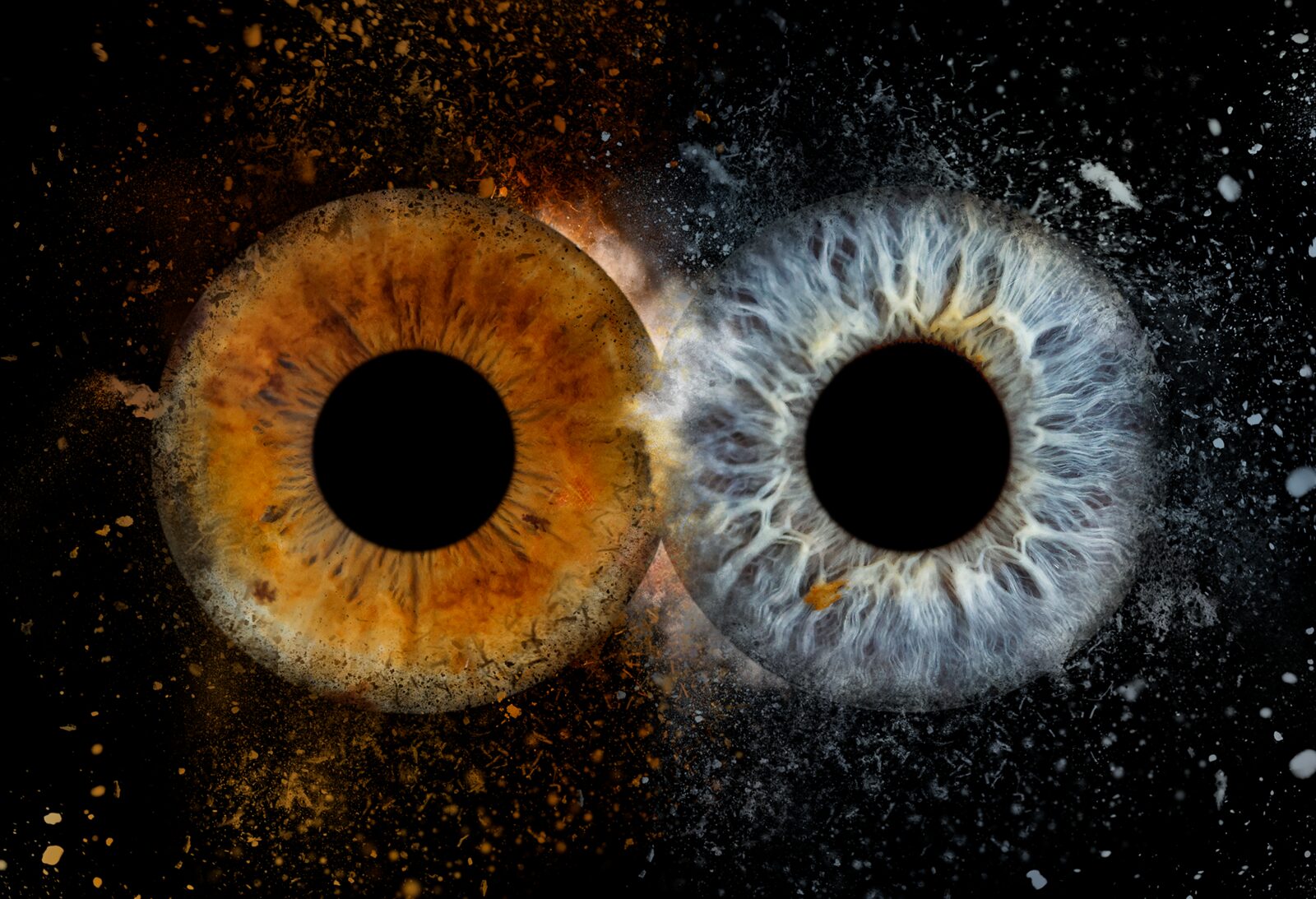 iris