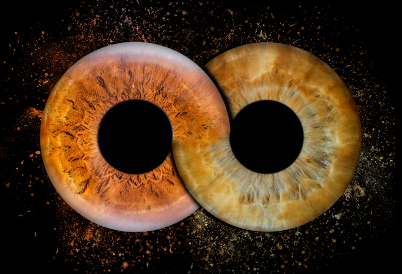 iris
