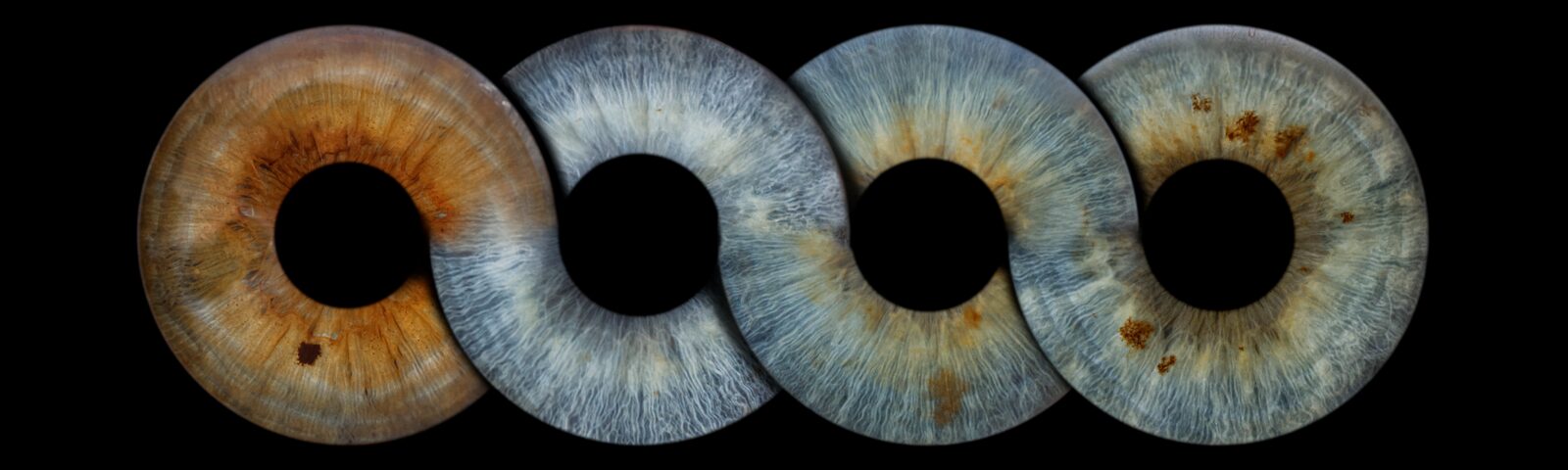 iris