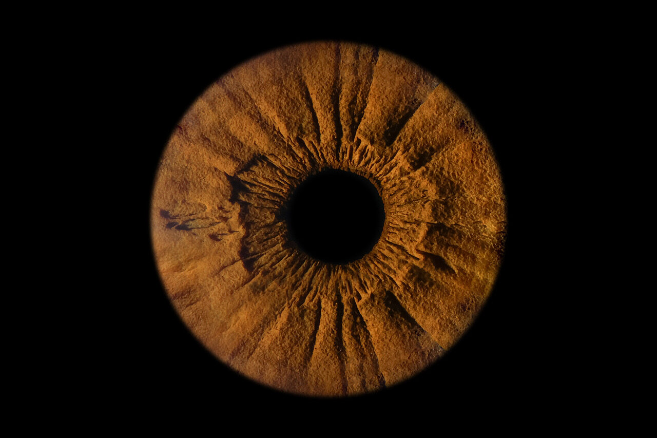 iris