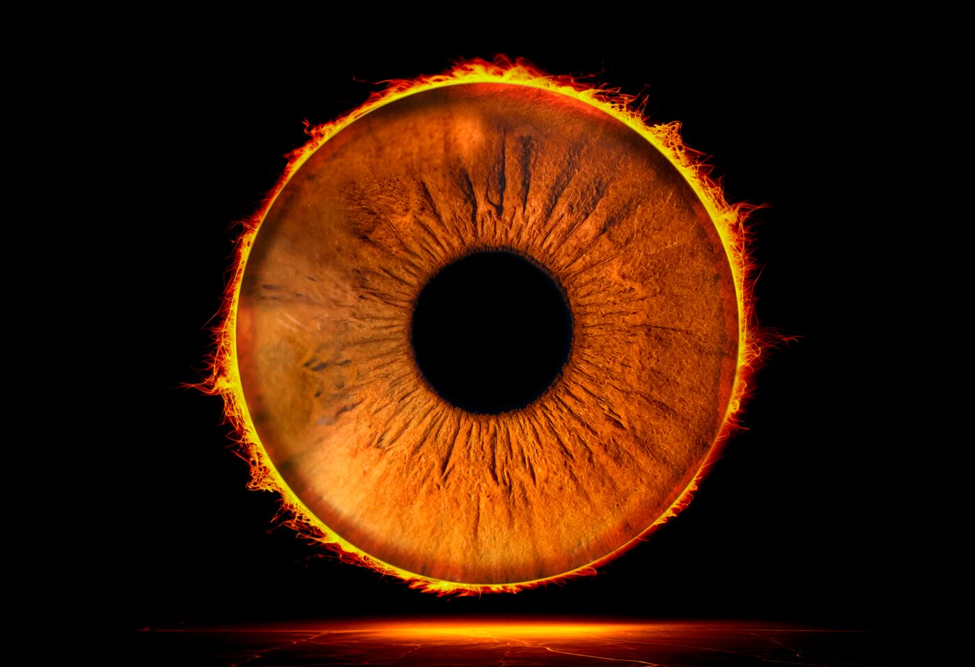 iris