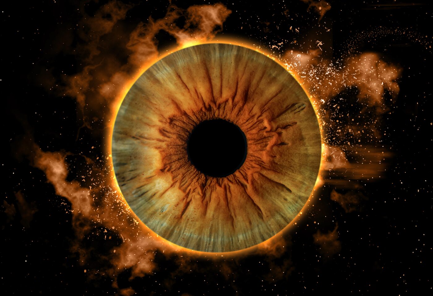 iris