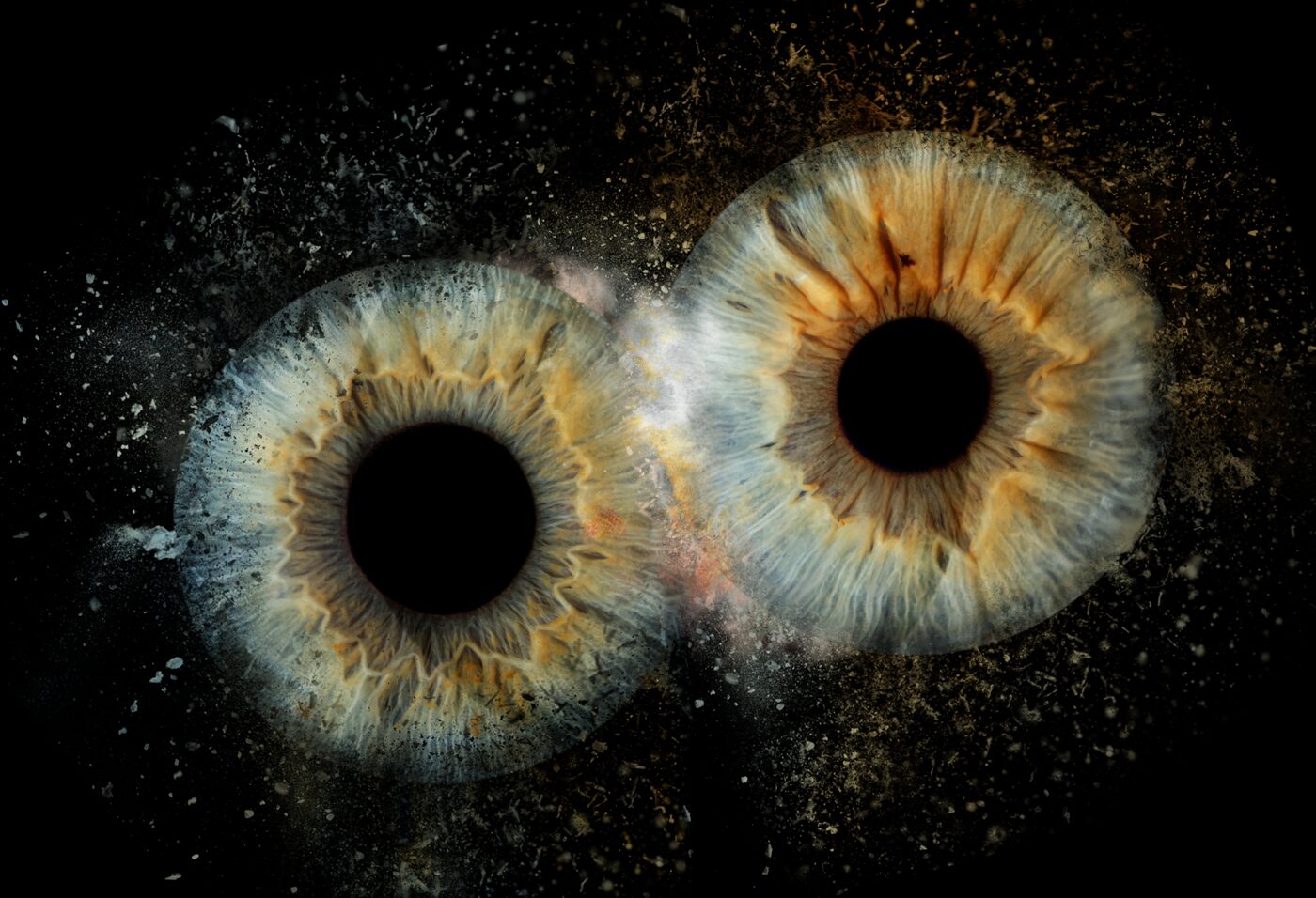 iris