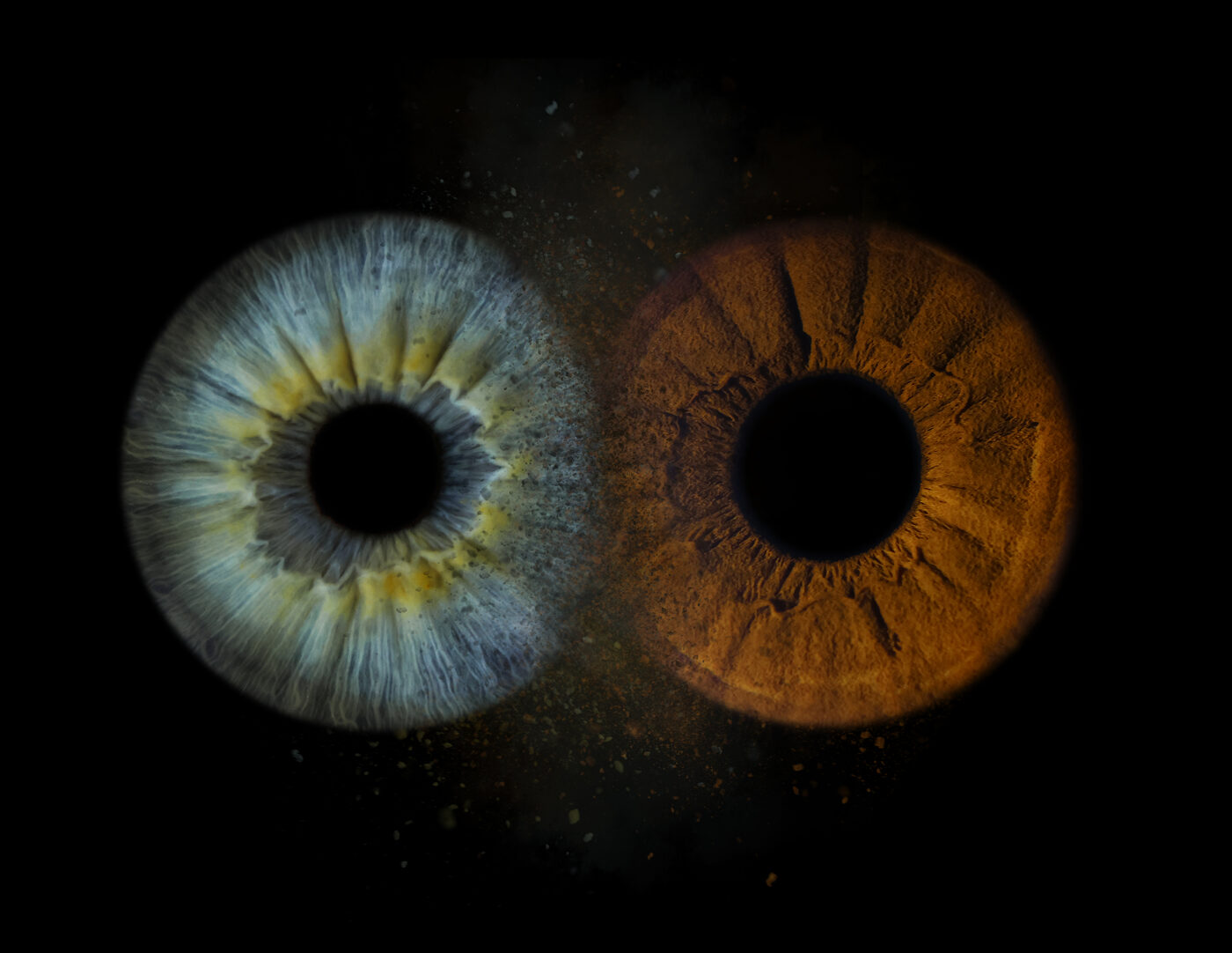 iris